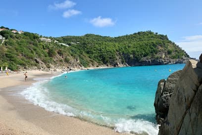 Shell Beach
