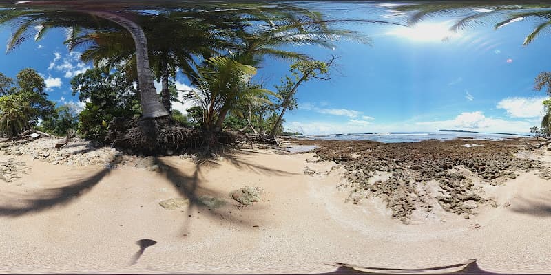Playa Paunch