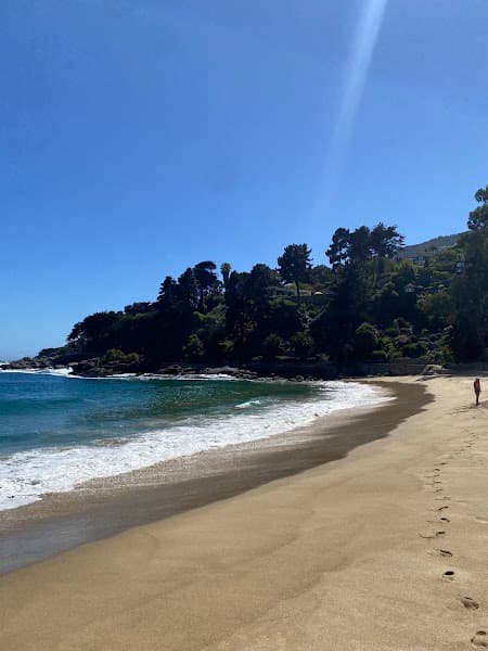 Playa Zapallar