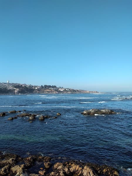 Playa El Papagallo
