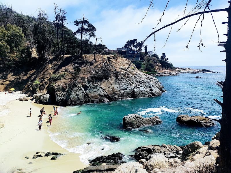 Plage CL-C