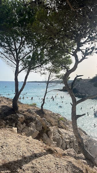 Plage de la Saulce
