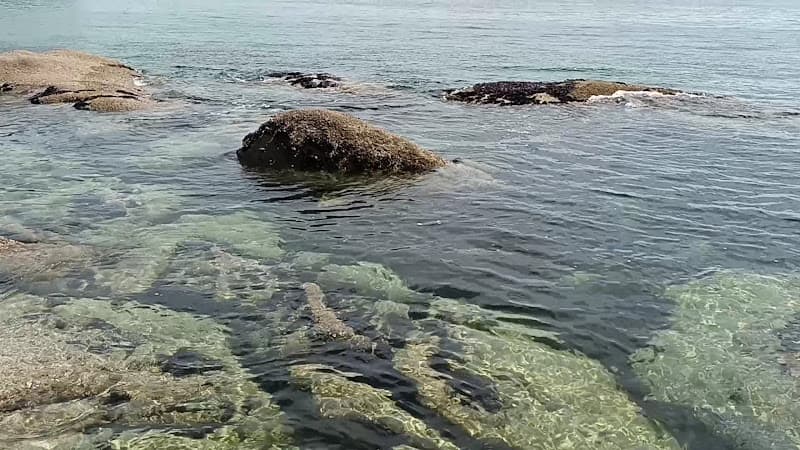 Praia da Barca