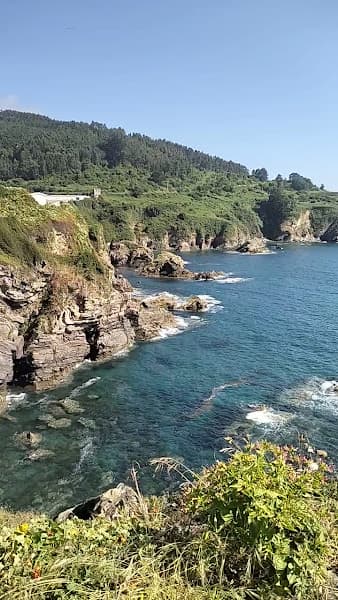 Area da Concha