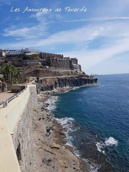 Playa de Amadores