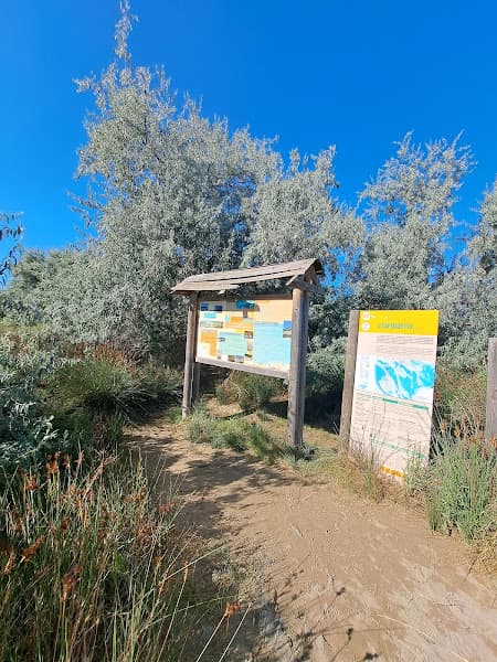 L'Espiguette