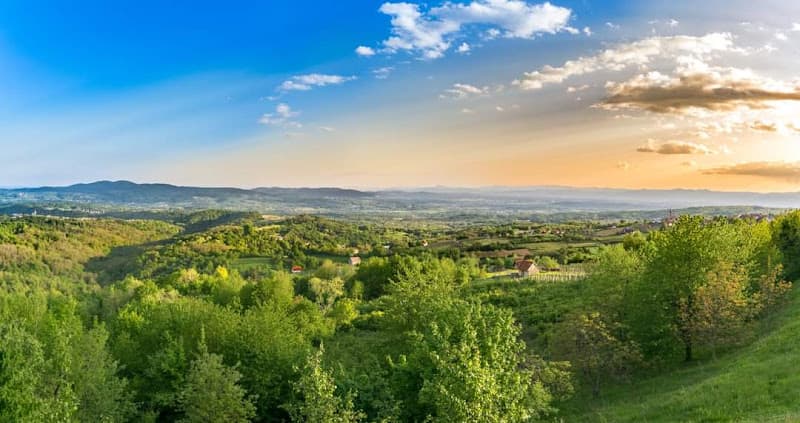 Radovica