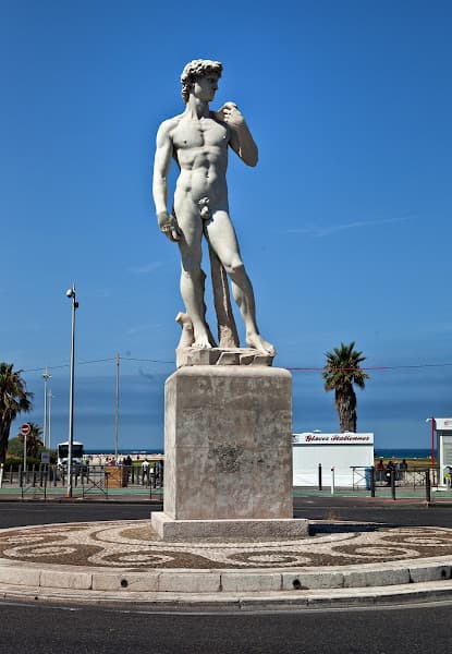 David