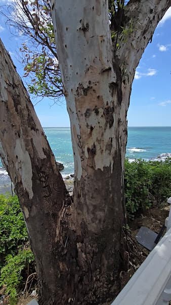 Playa de Arroyo Hondo