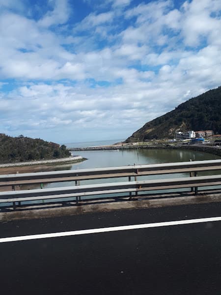 Oribarzar