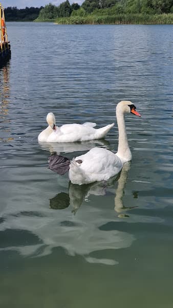 Plaża GOSiR w Wilczynie