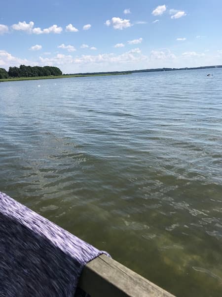 Plaża Sołecka w Radziejach