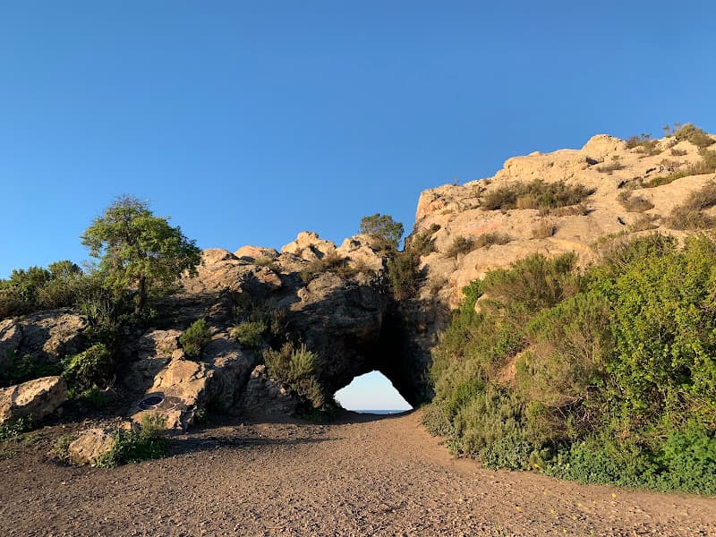 Pirates Cove