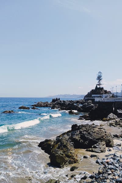 Playa de los Artistas