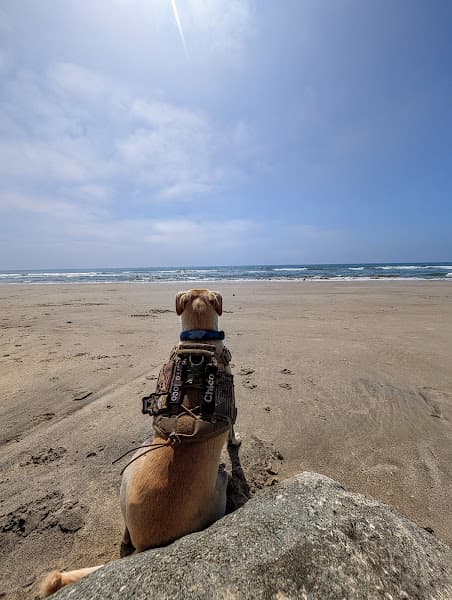 Saint Malo Beach
