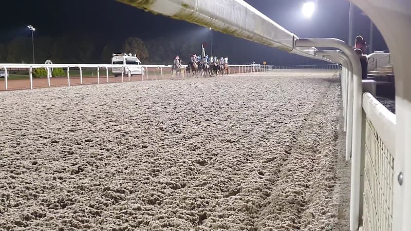 Hippisme