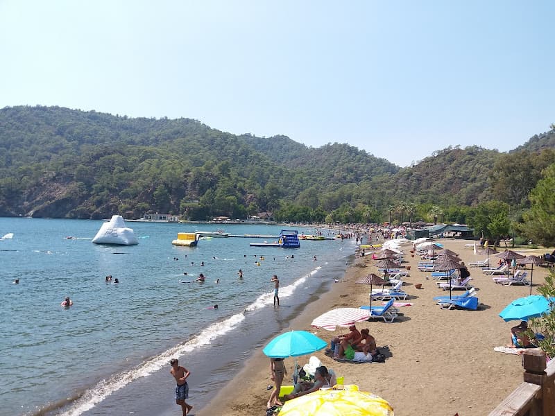 Günlüklü Koyu