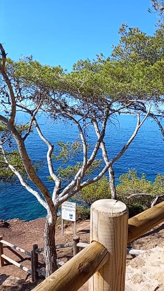 Plage des Oursinières