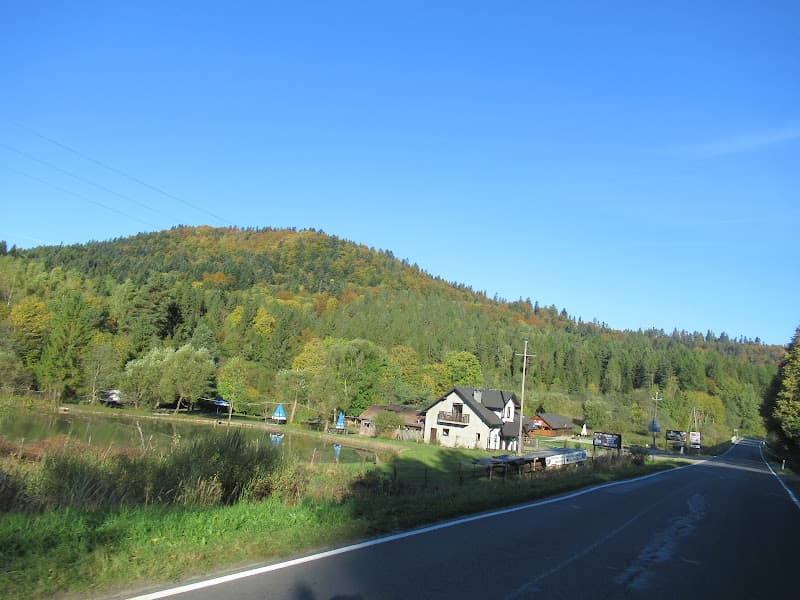 Krzywe