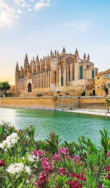 A Palma