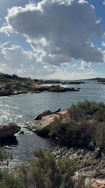 platja de Can Curt