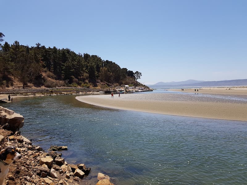 Plage CL-C