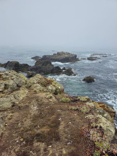 Tide Pool Beach