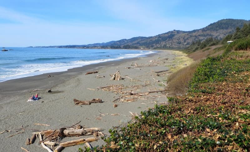 Pelican State Beach