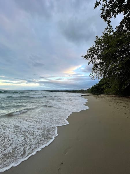 Playa Cocles