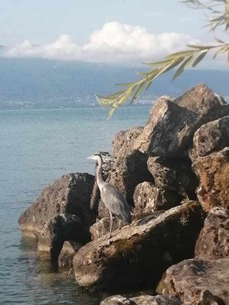 Plage de Villette