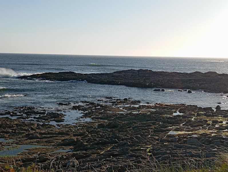 Praia dos Susiños