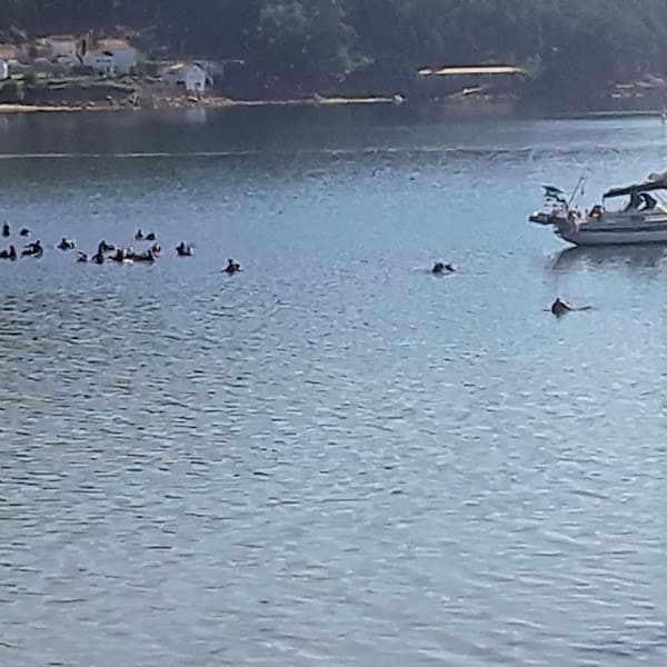 Praia da Virxe do Camiño