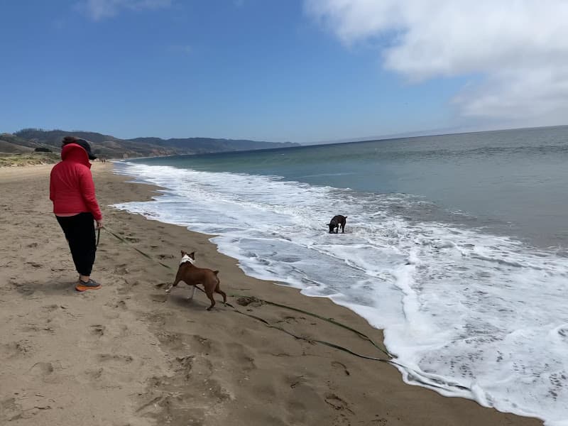 Limantour Beach