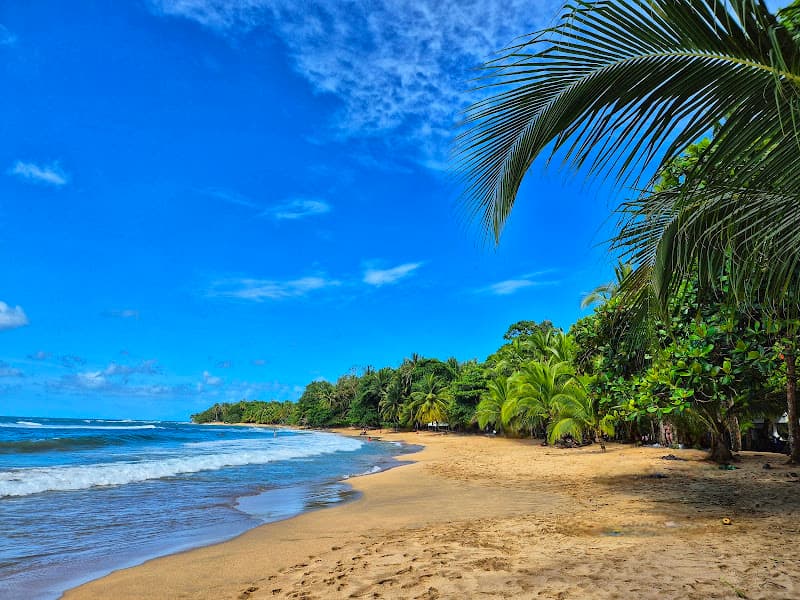 Playa Punta Uva