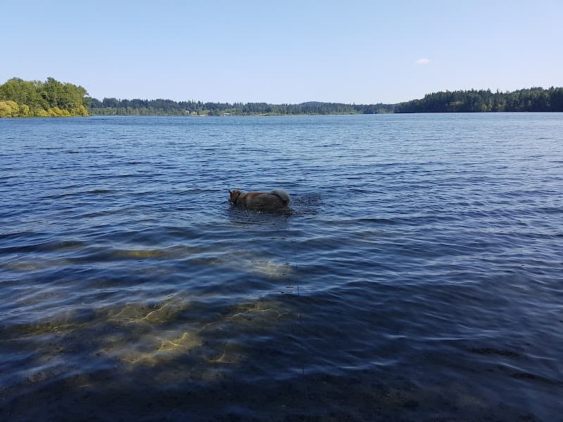 Water Ski Beach