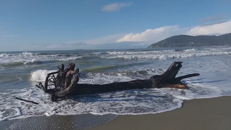 Spiaggia libera