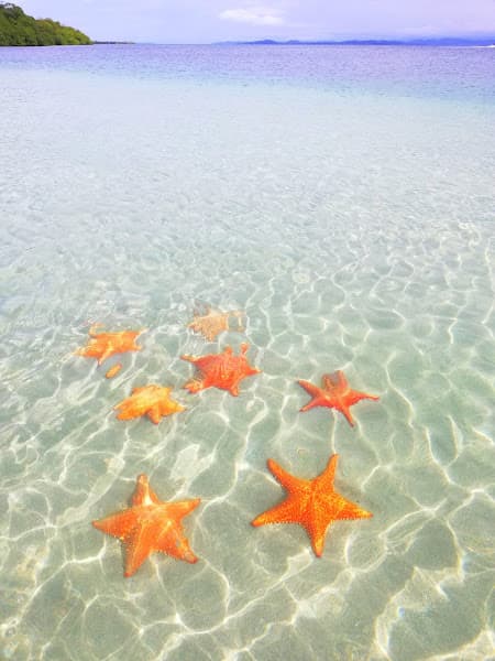 Playa Estrella