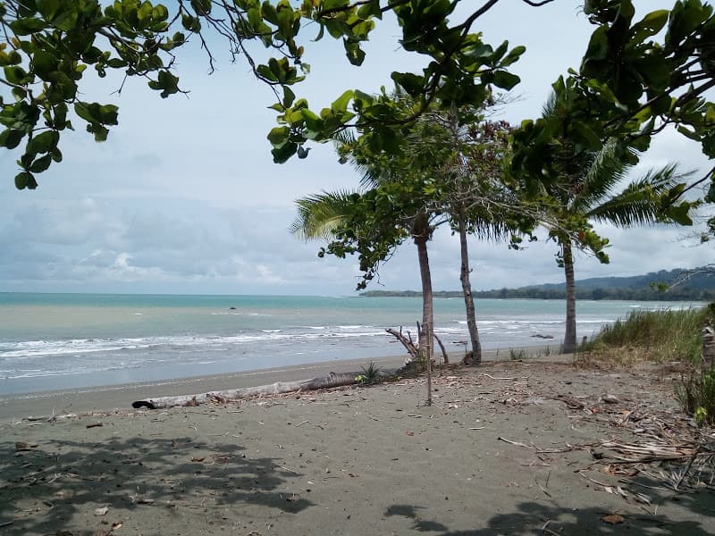 Playa Tamales