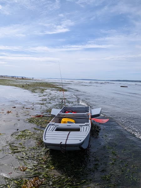 Dog Beach