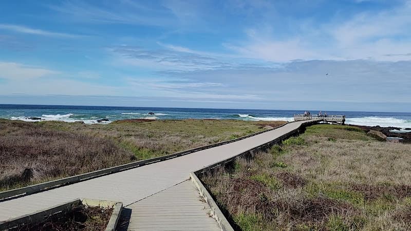 Laguna Point Beach
