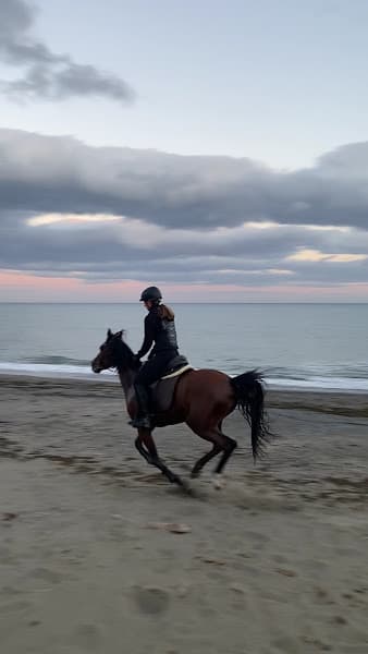 Playa del Padron