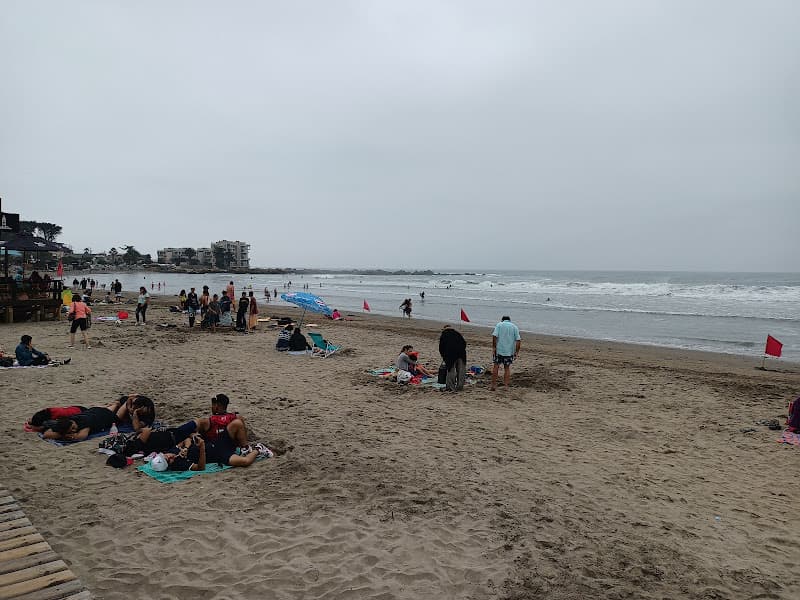 Plage CL-C
