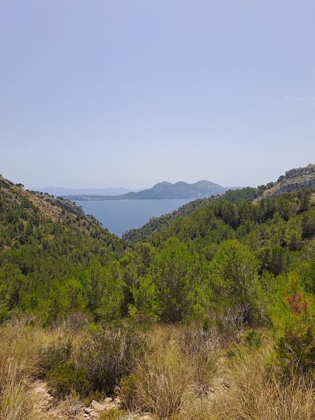 Cala en Feliu