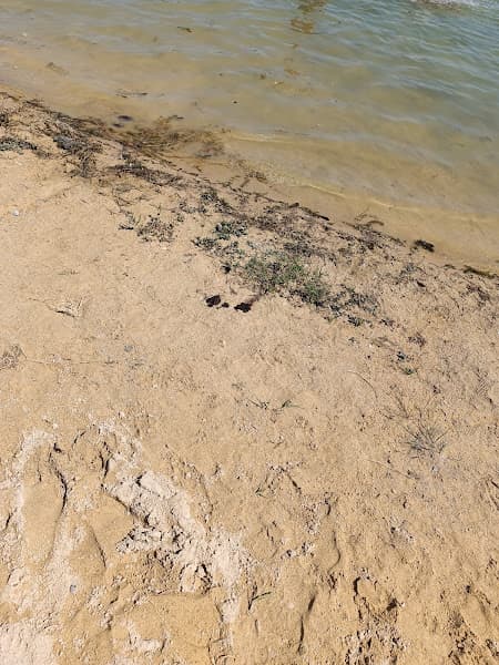 Plage de Divonne