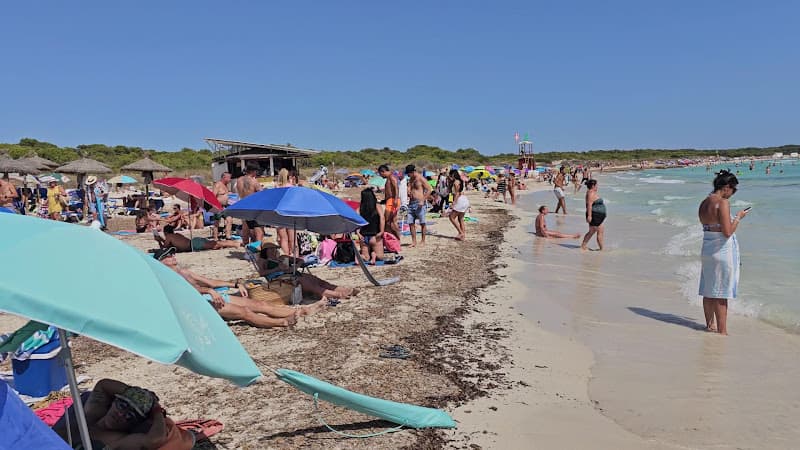 Platja de s'Arenal de sa Ràpita