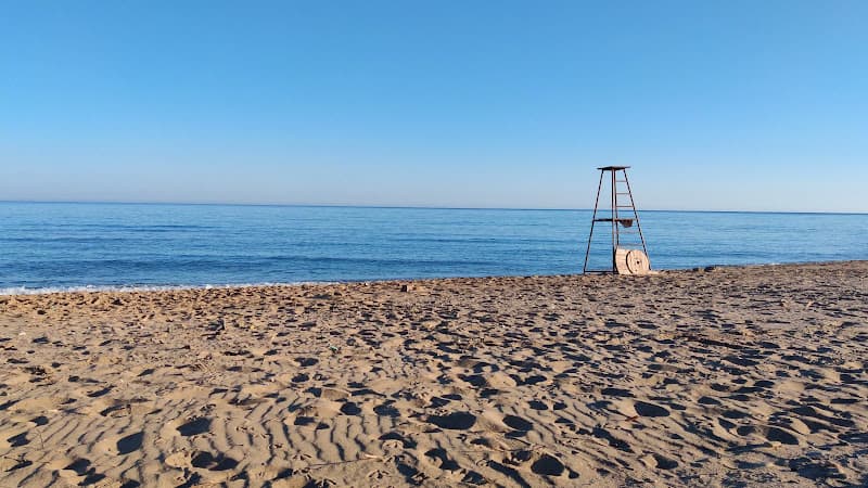 Plage DZ