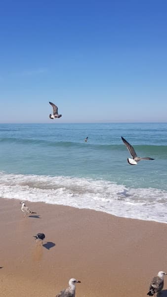 Praia da Baía