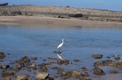 Plage Val D'or