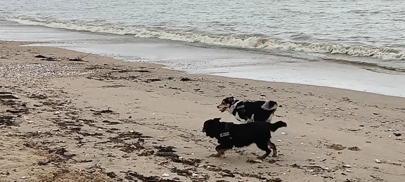 Plage de Bétahon
