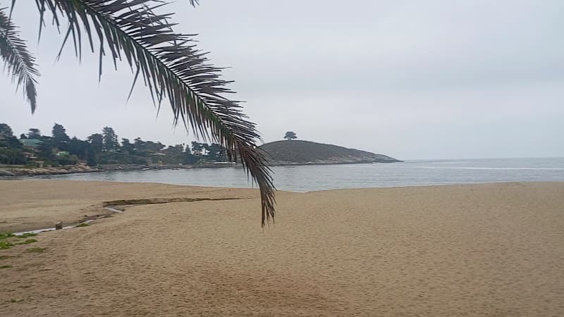 Plage CL-C